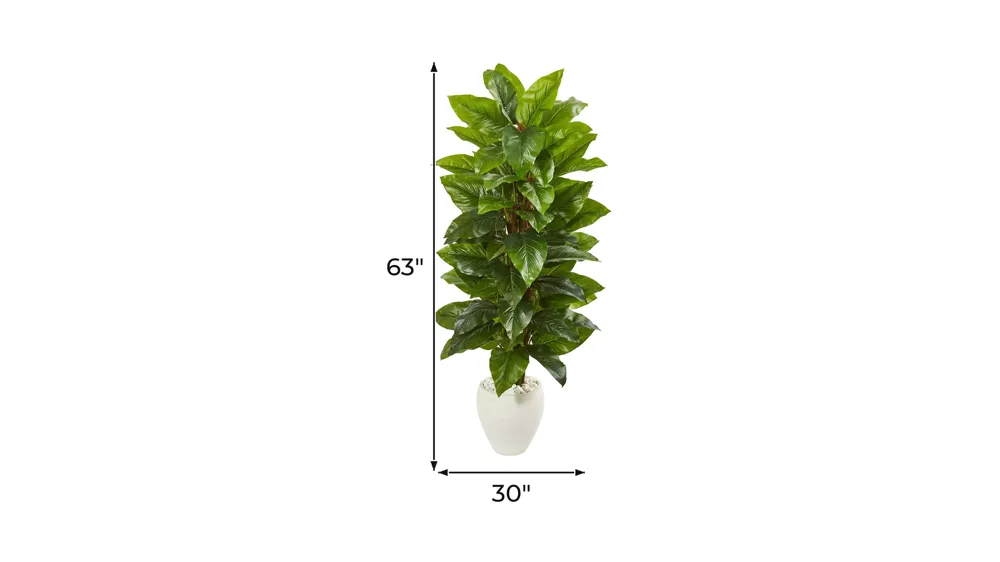 63in. Large Leaf Philodendron Artificial Plant in White Planter Dimensions