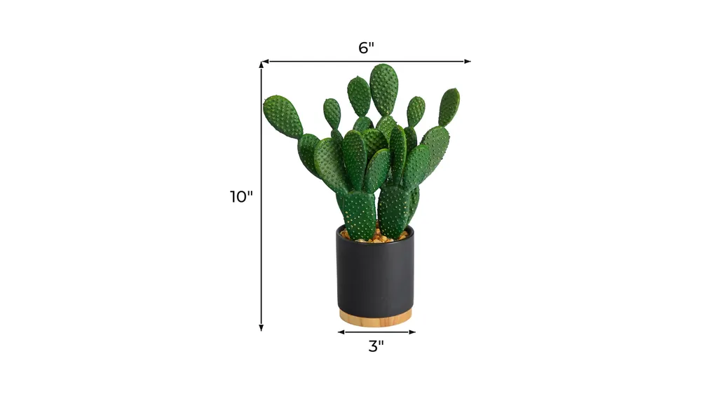 10in. Cactus Succulent Artificial Plant in Planter Dimensions