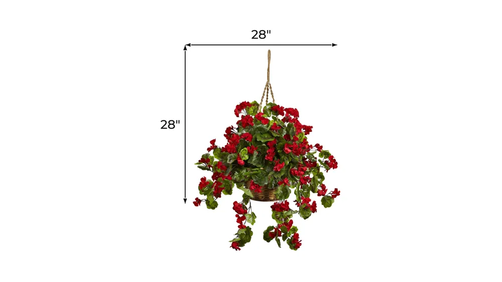 Geranium Hanging Basket (Indoor/Outdoor) Dimensions