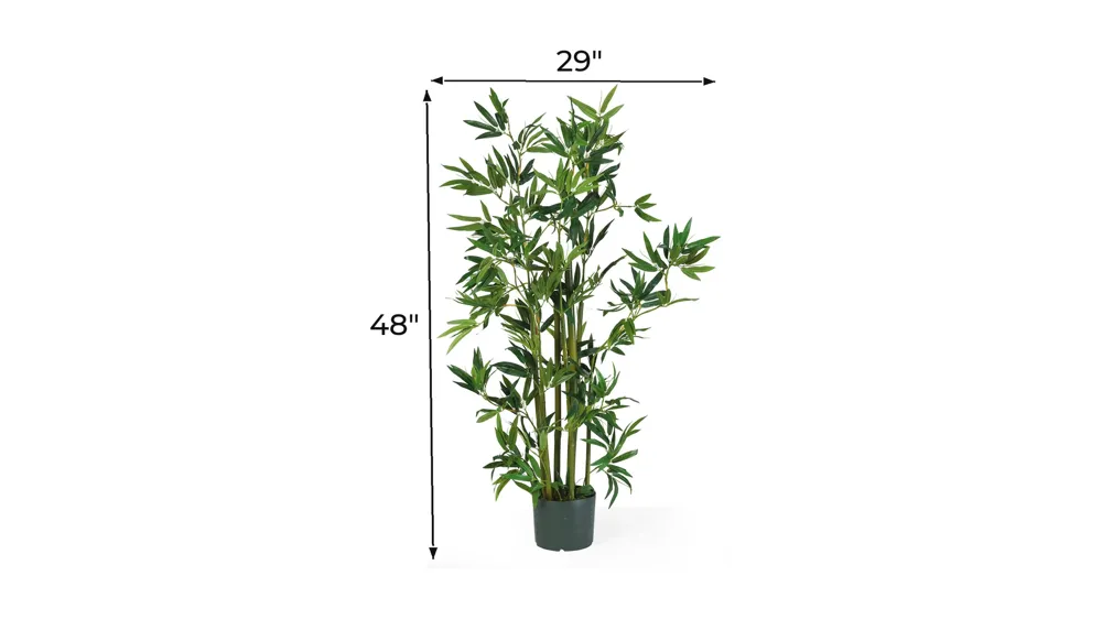 4ft. Bamboo Silk Plant Dimensions