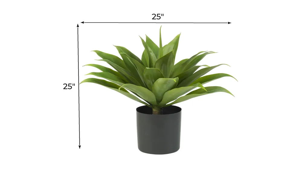 Agave Silk Plant Dimensions