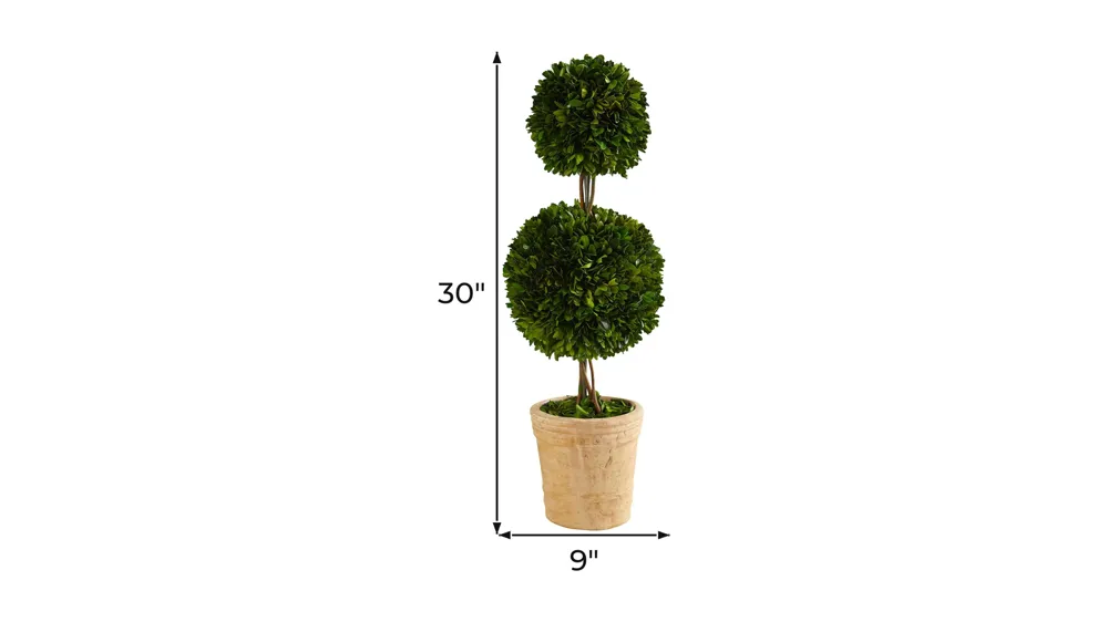 2.5ft. Preserved Boxwood Double Ball Topiary Tree in Decorative Planter Dimensions