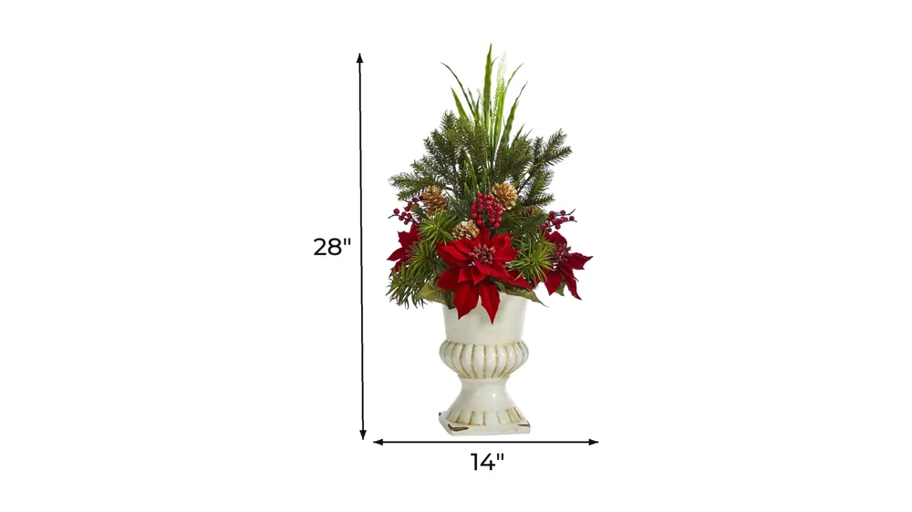 28in. Poinsettia, Grass and Succulent Arrangement Dimensions