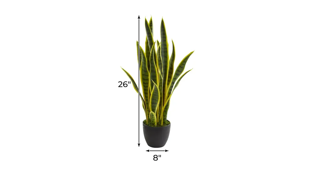 26in. Sansevieria Artificial Plant Dimensions