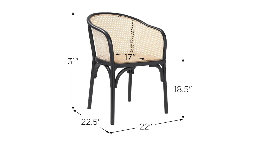 Elsy Armchair Dimensions