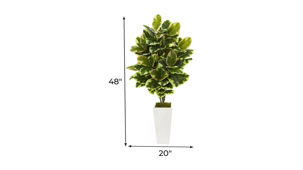 Variegated Rubber Leaf Artificial Plant Dimensions