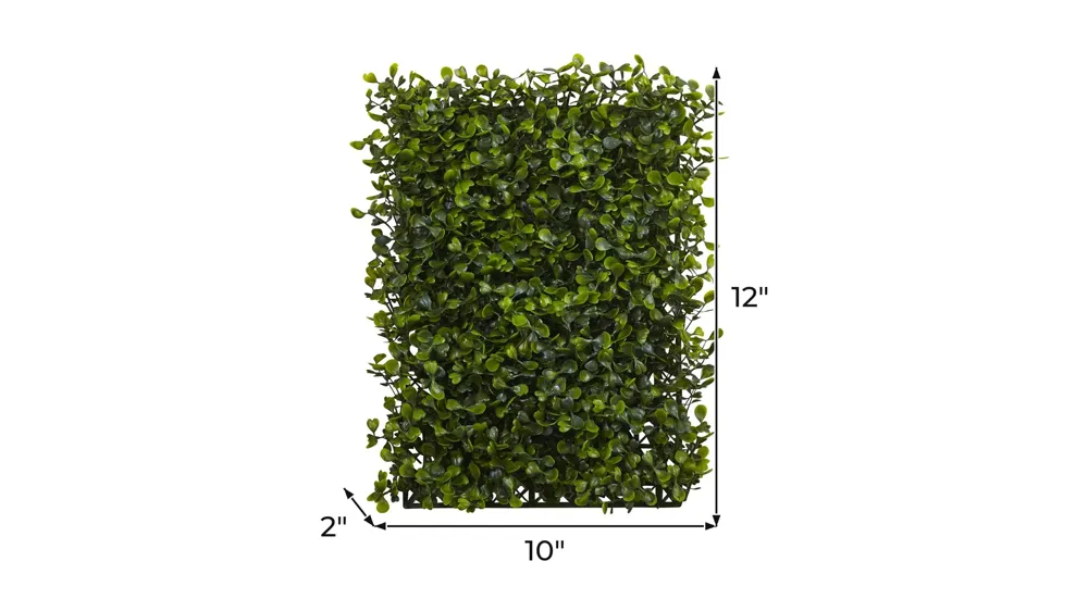 Boxwood Mat: Set of 12 Dimensions