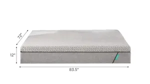 Tuft and Needle Mint Mattress