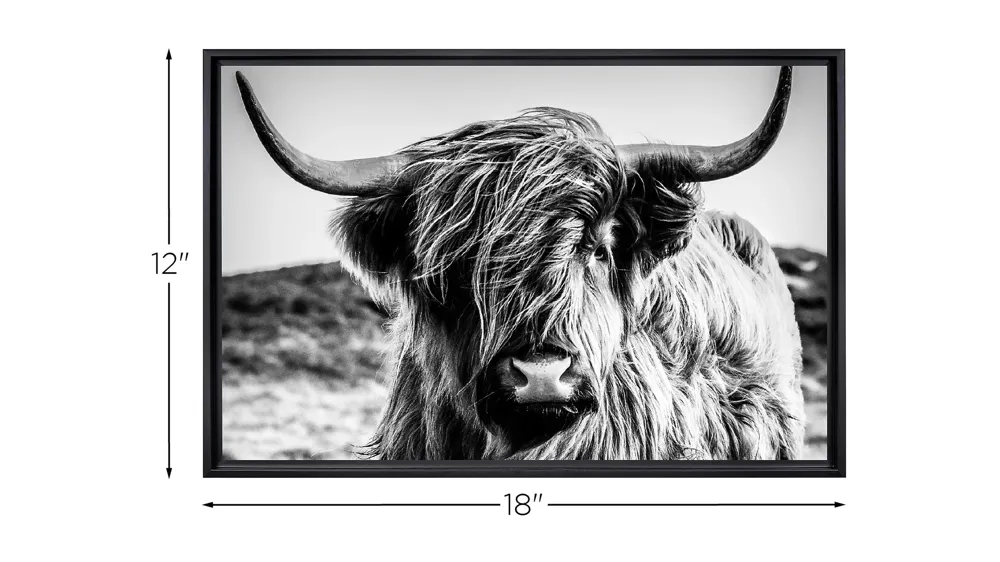 Stratton Black and White Highland Cow Canvas Wall Art Dimensions