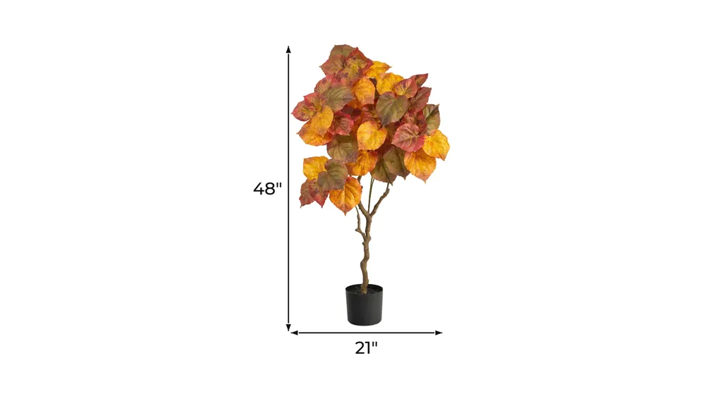 Fall foliage 4ft Umbrella Ficus Tree Dimensions