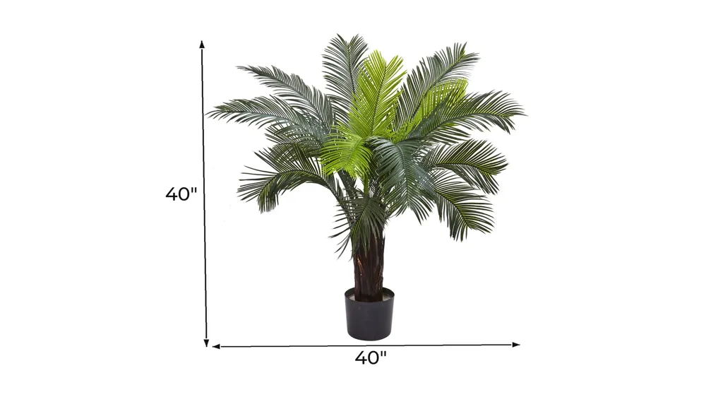 Cycas Tree UV Resistant (Indoor/Outdoor) Dimensions