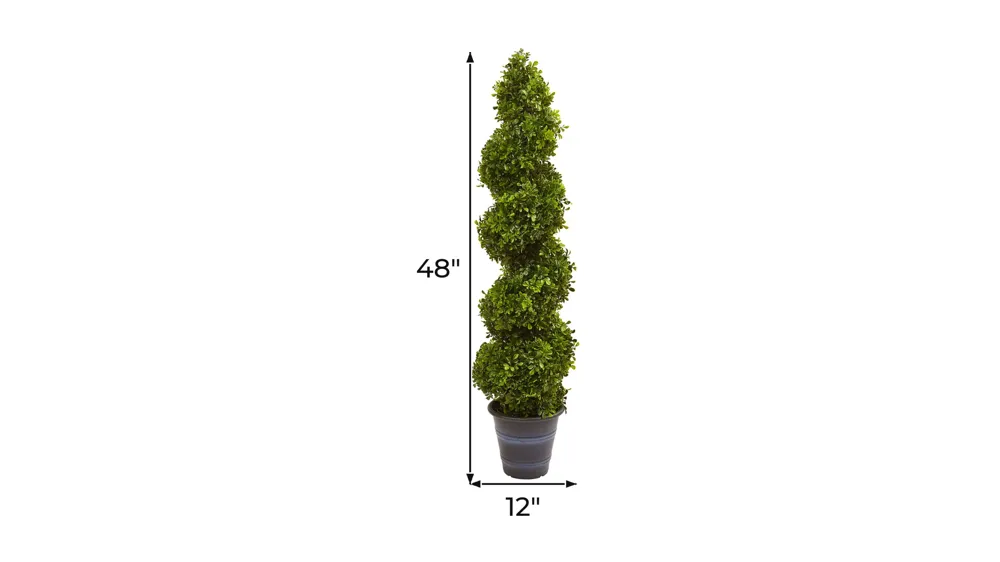 Boxwood Spiral Topiary with Planter (Indoor/Outdoor) Dimensions