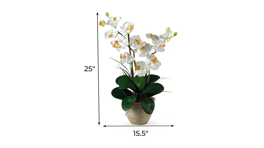 Double Phalaenopsis Silk Orchid Flower Arrangement Dimensions