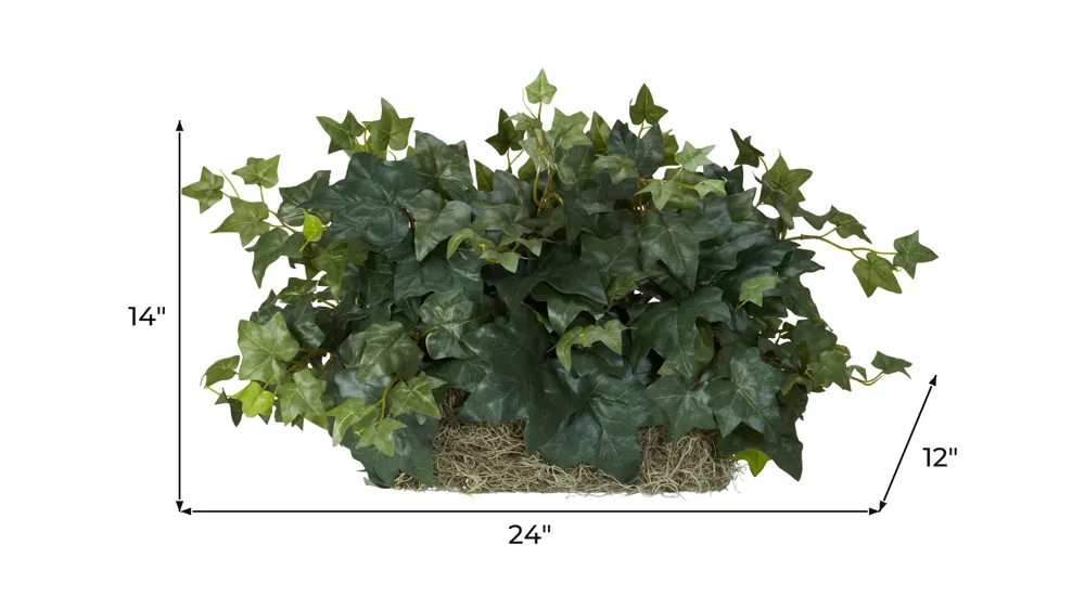 Ivy Ledge Plant (Set on Foam) Silk Plant Dimensions