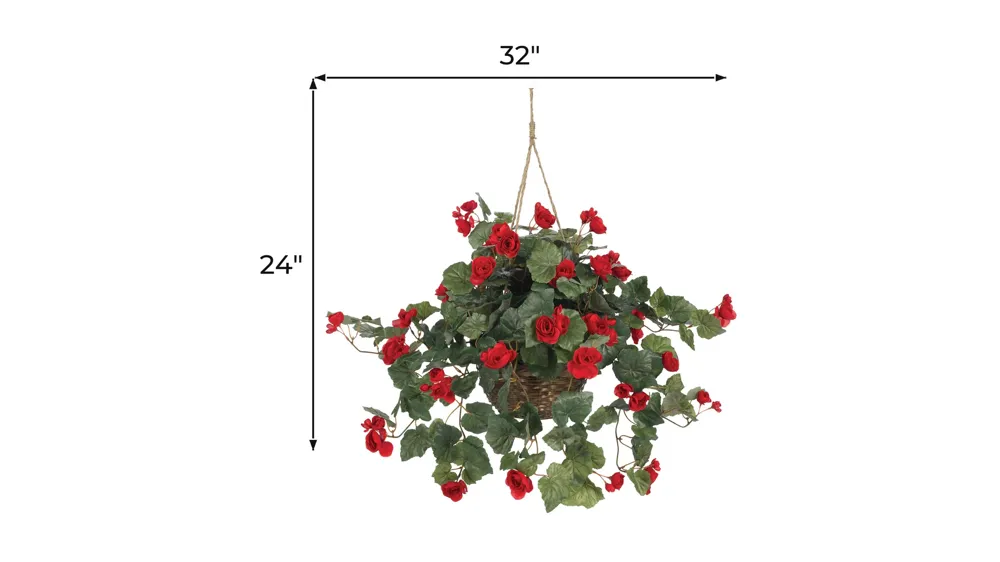 Begonia Hanging Basket Dimensions