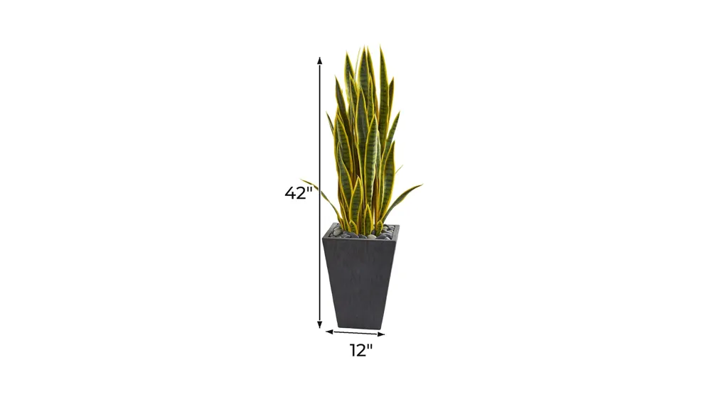 3.5ft. Sansevieria Artificial Plant in Slate Planter Dimensions