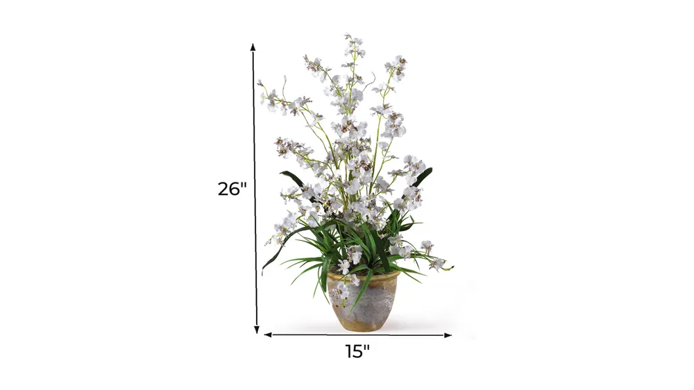 Dancing Lady Silk Orchid Artificial Arrangement Dimensions