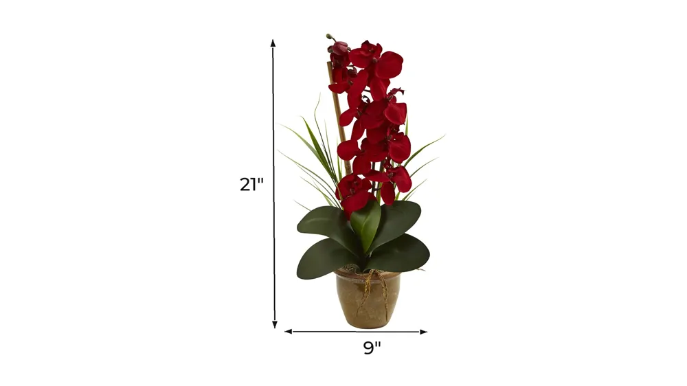 Phalaenopsis Orchid Silk Arrangement in Ceramic Vase Dimensions