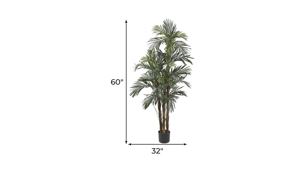 5ft. Robellini Palm Silk Tree Dimensions