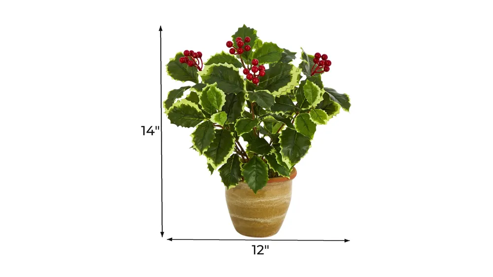 14in. Variegated Holly Leaf Artificial Plant Dimensions