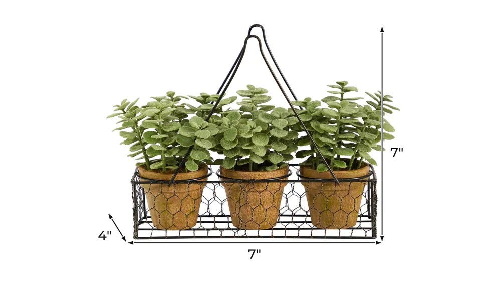 7in. Mini Jade Garden Artificial Plant in Hanging Planter Dimensions