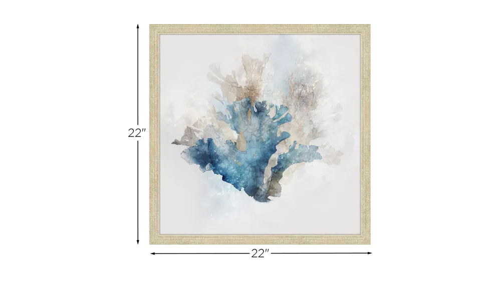 Calm Coral 2 Wall Art Dimensions