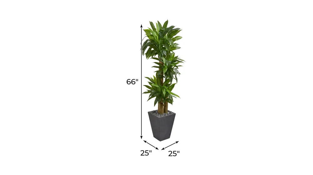 Cornstalk Dracaena Artificial Plant in Slate Planter Dimensions