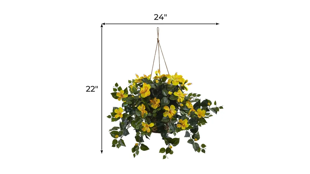 Hibiscus Hanging Basket Dimensions
