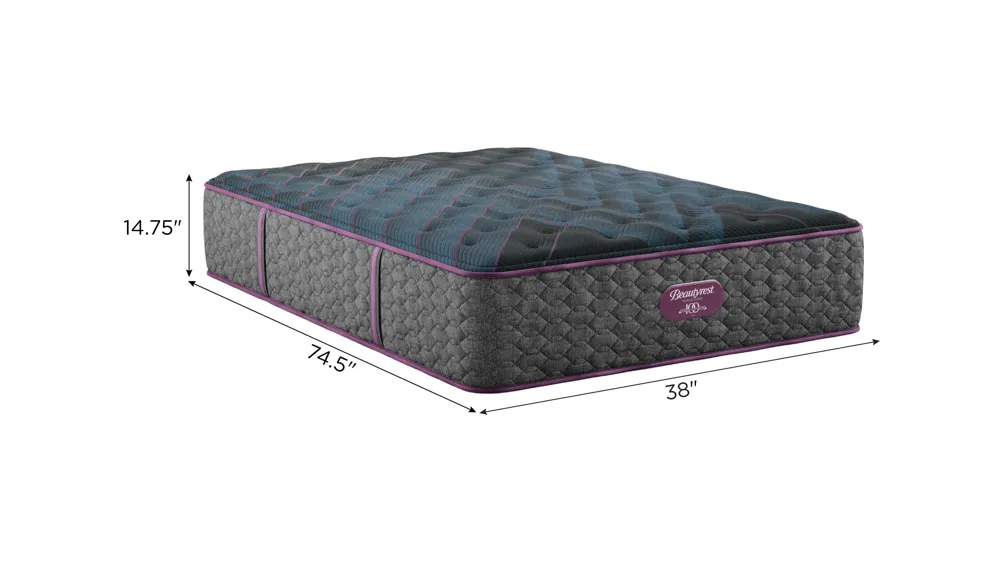 Beautyrest World Class Level Three Plush Mattress Dimensions