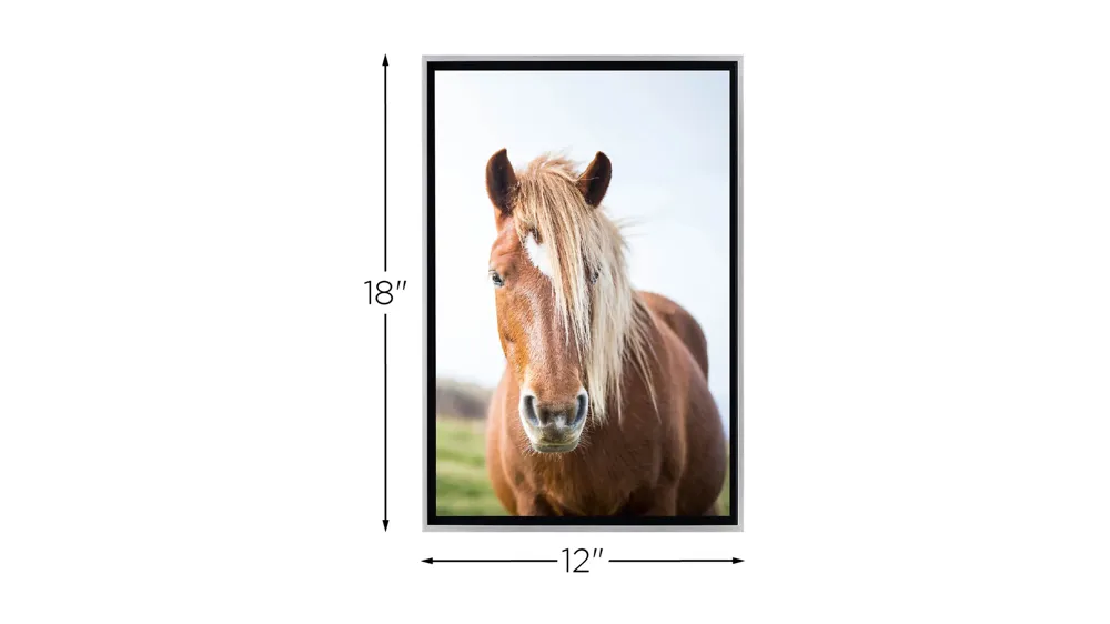 Stratton Wild Horse Canvas Wall Art Dimensions