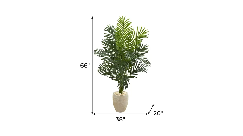 5.5ft. Paradise Artificial Palm Tree in Planter Dimensions