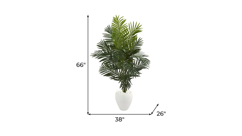 5.5ft. Paradise Artificial Palm Tree in Planter Dimensions