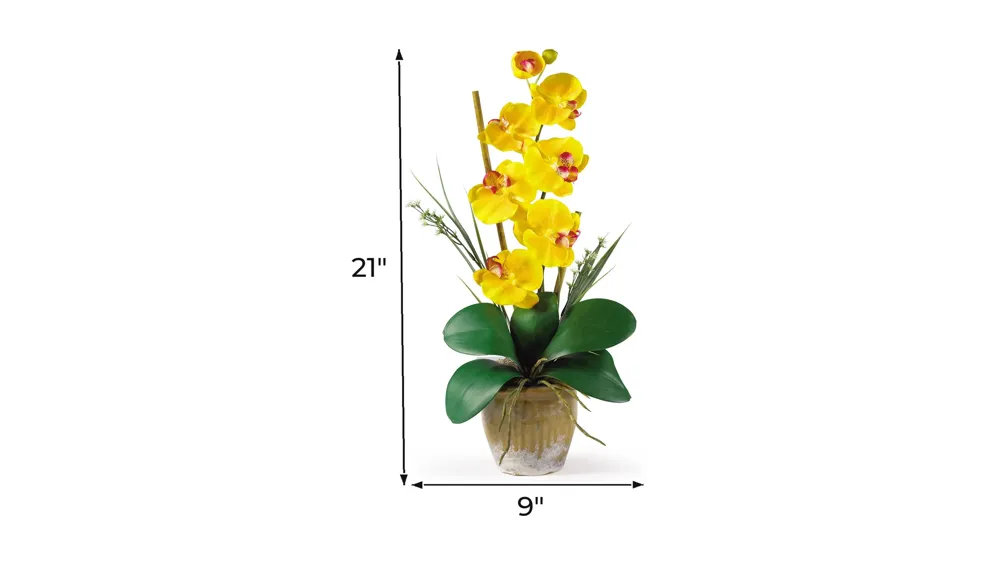 Phalaenopsis Silk Orchid Flower Arrangement Dimensions