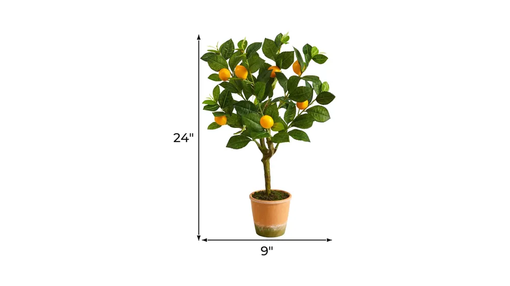 24in. Lemon Artificial Tree Dimensions