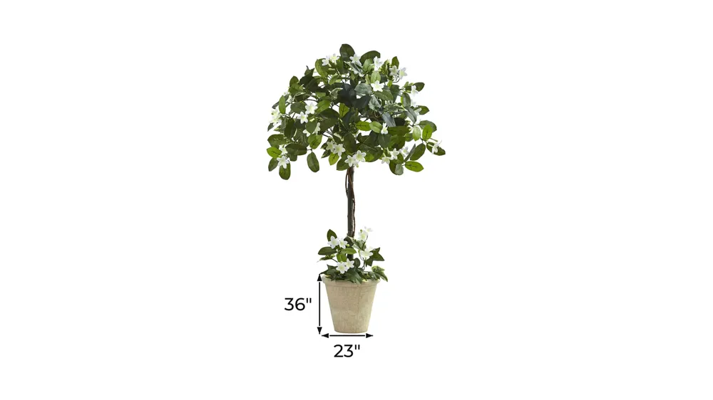 3ft. Stephanotis Topiary with Planter Dimensions