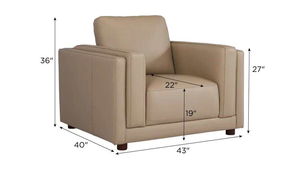 Marni Leather Chair Dimensions