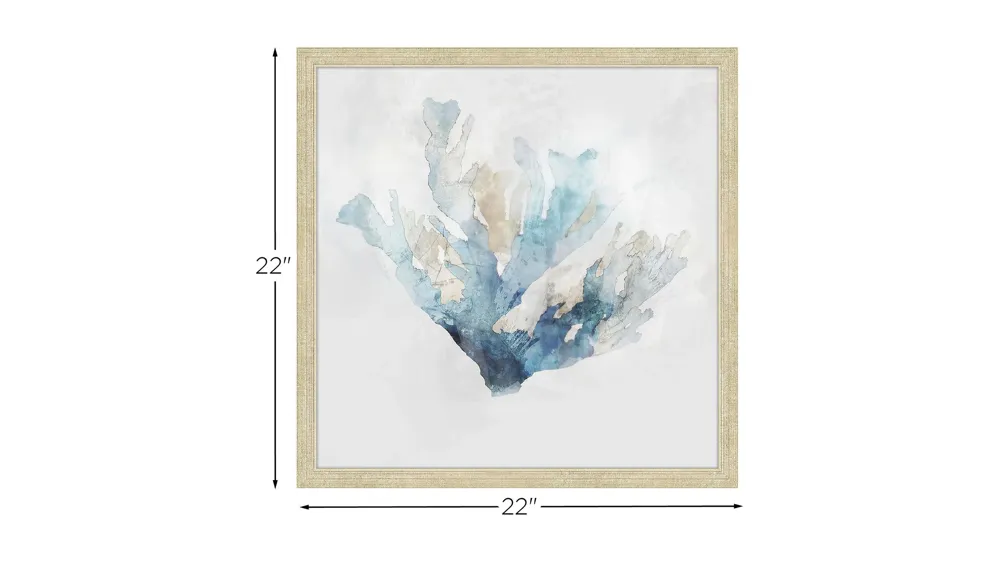 Calm Coral 1 Wall Art Dimensions