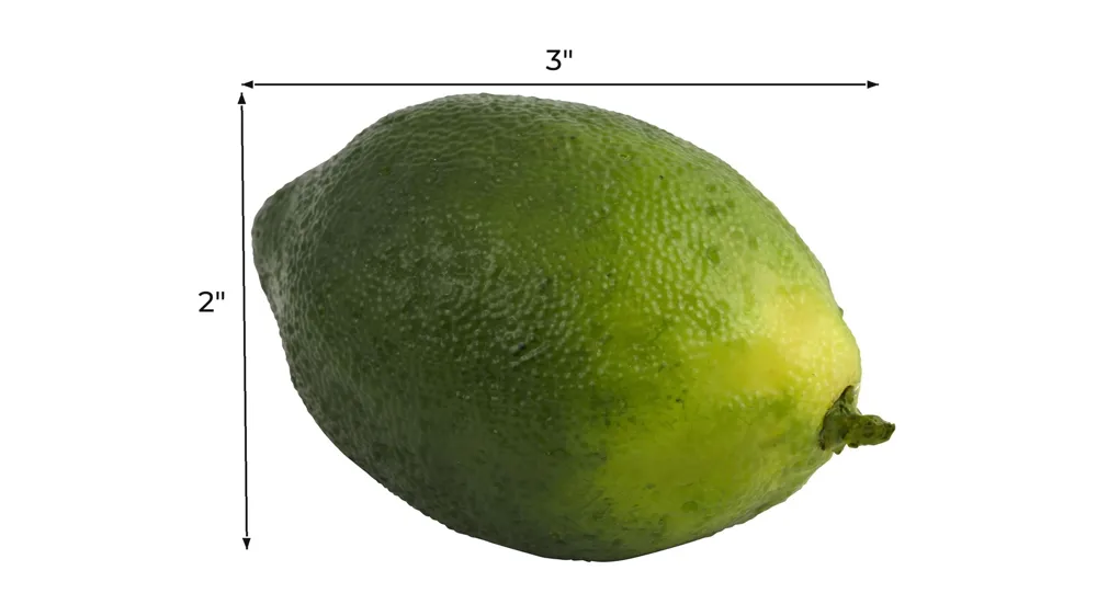 Faux Limes (Set of 12) Dimensions