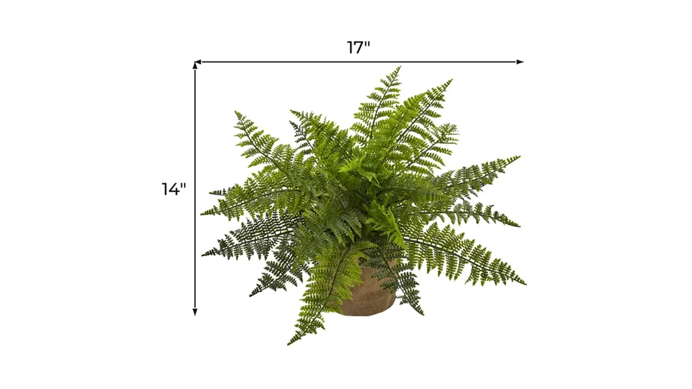 15in. Ruffle Fern Bush with Burlap Base (Set of 2) Dimensions