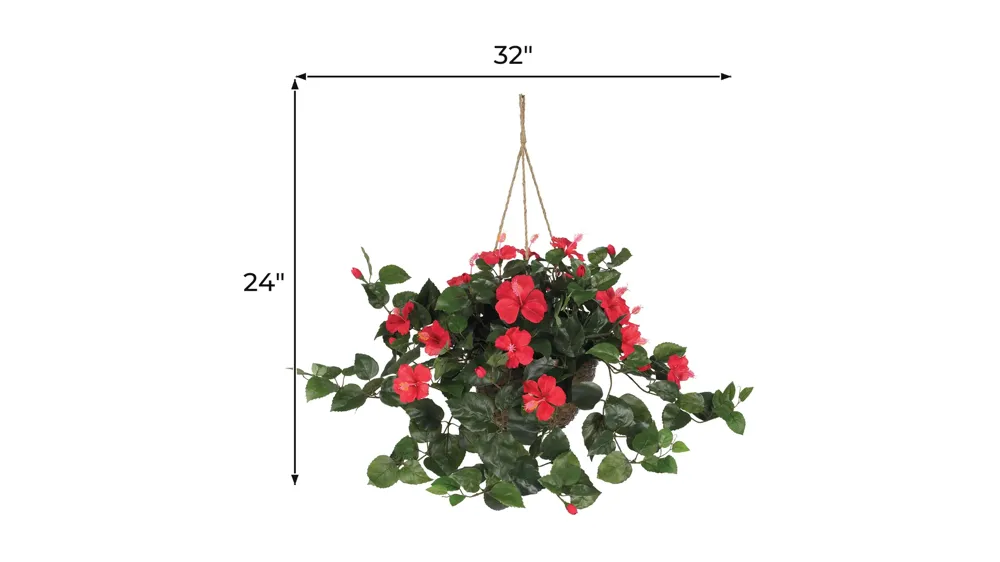 Hibiscus Hanging Basket Dimensions