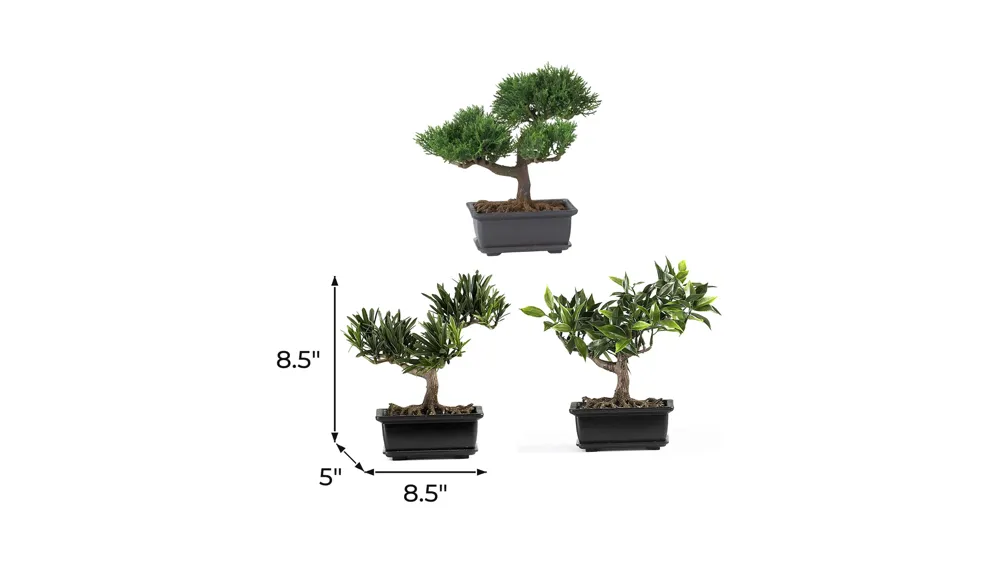 Bonsai Silk Plant Collection: Set of 3 Dimensions
