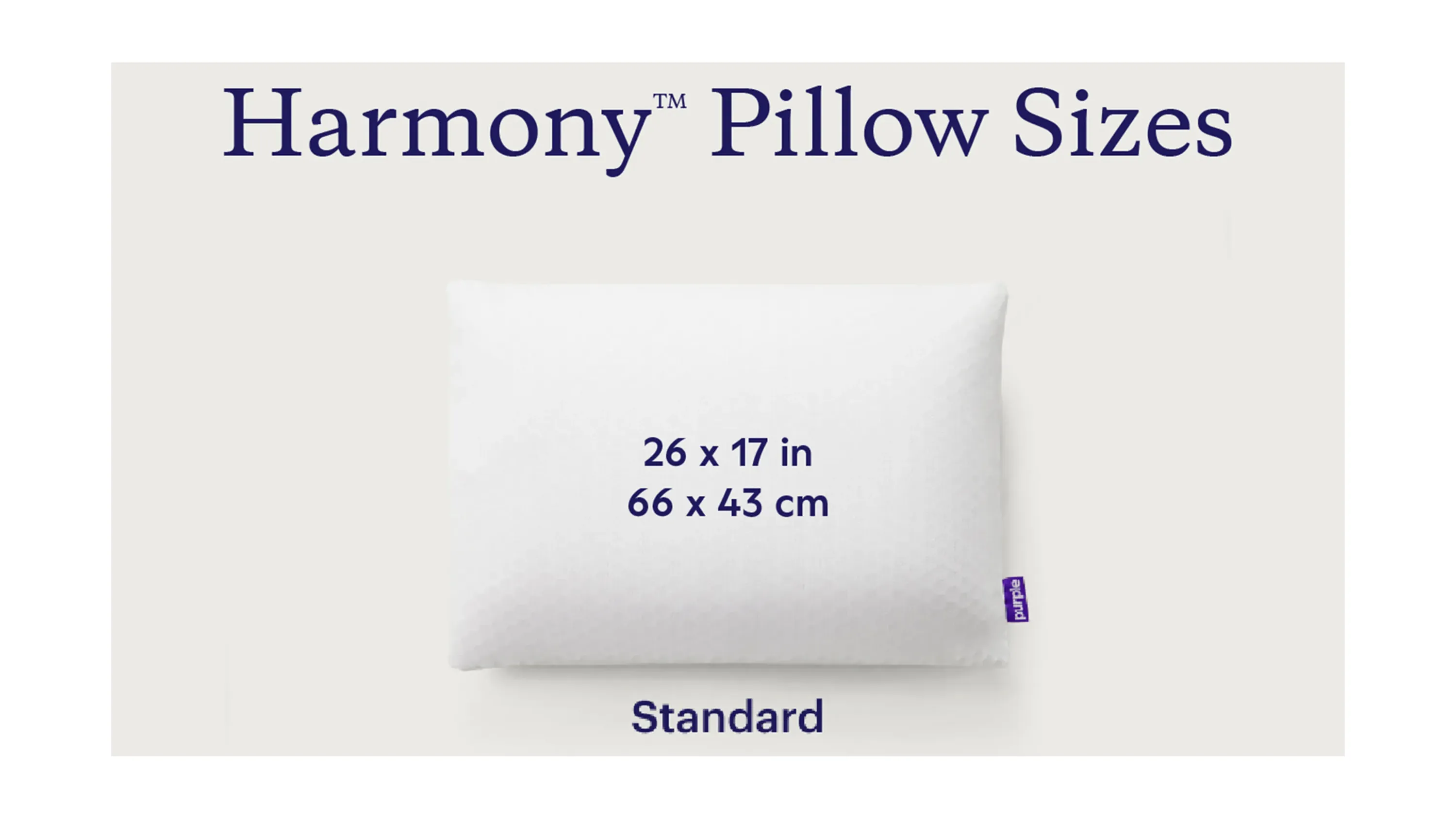 The Purple Harmony Pillow - Standard | Raymour & Flanigan