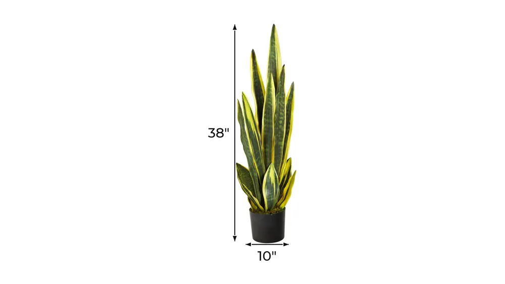 38" Sansevieria Artificial Plant Dimensions