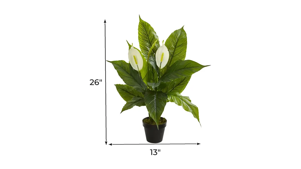 Spathiphyllum Artificial Plant Dimensions