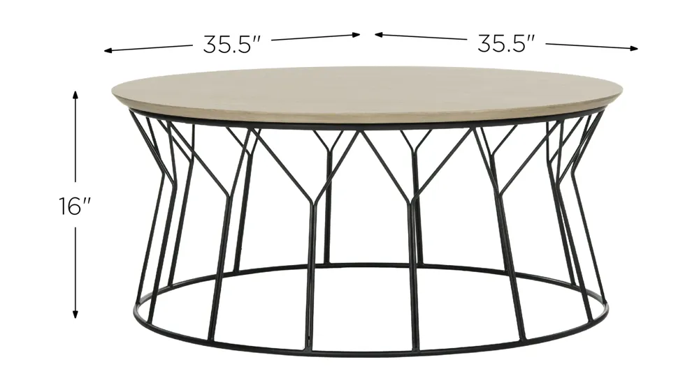 Bela Coffee Table Dimensions