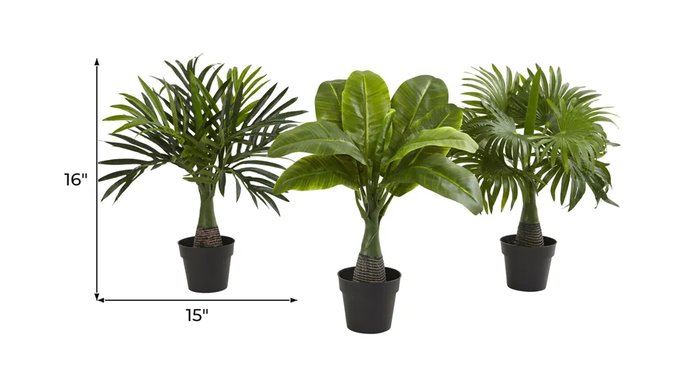 Areca, Fountain & Banana Palm (Set of 3) Dimensions