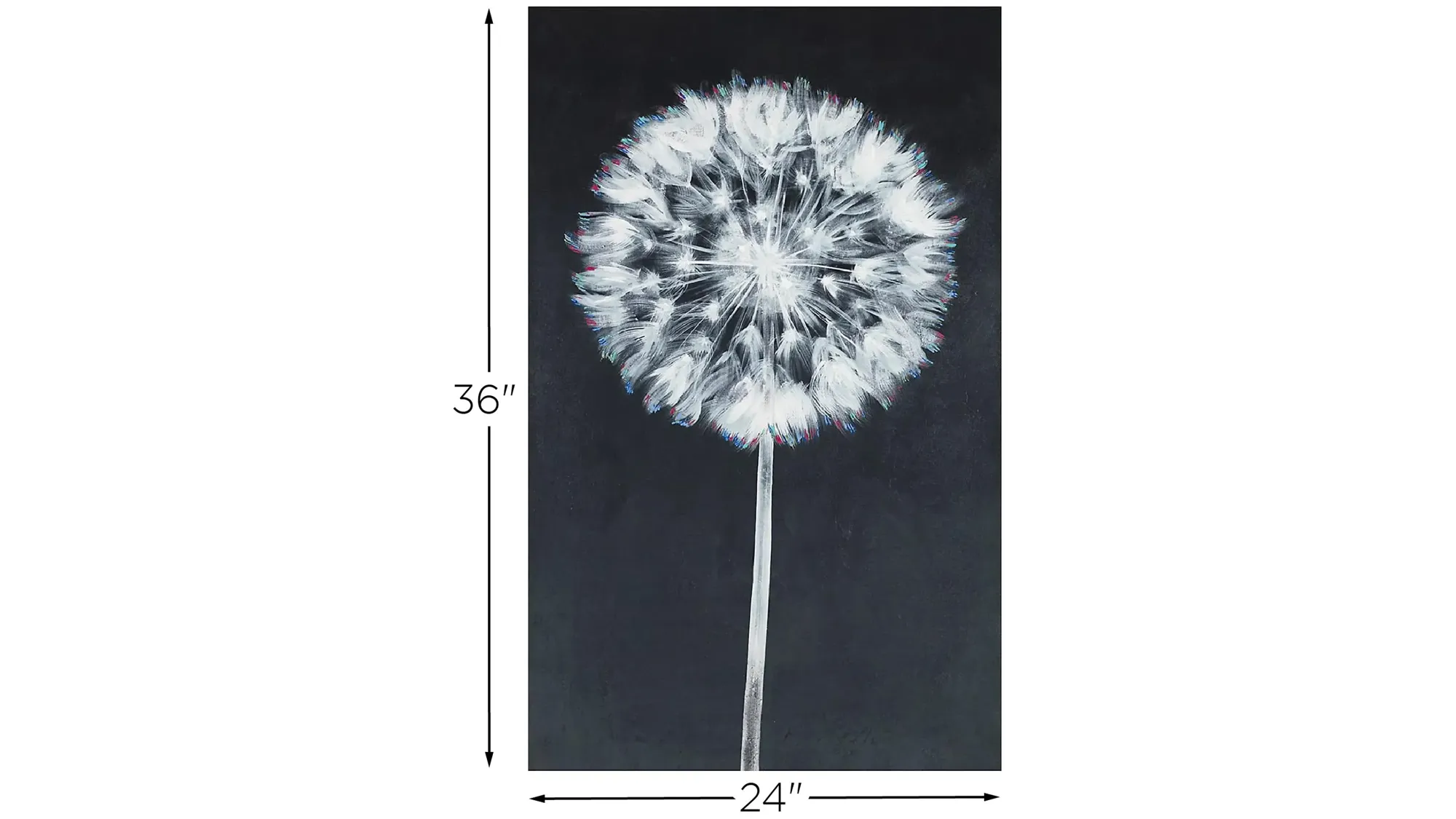 Wish Before Blowing Wall Art