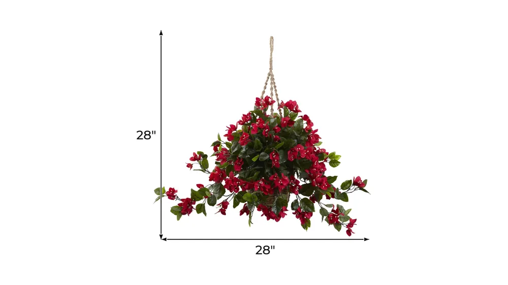 Bougainvillea Hanging Basket (Indoor/Outdoor) Dimensions