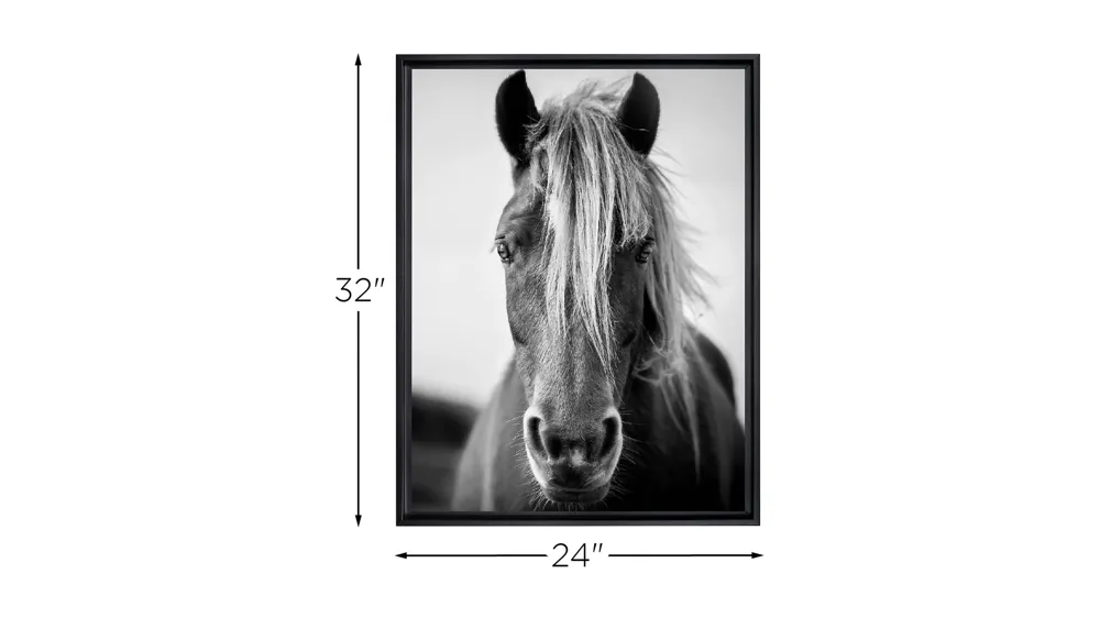 Stratton Black and White Wild Horse Canvas Wall Art Dimensions