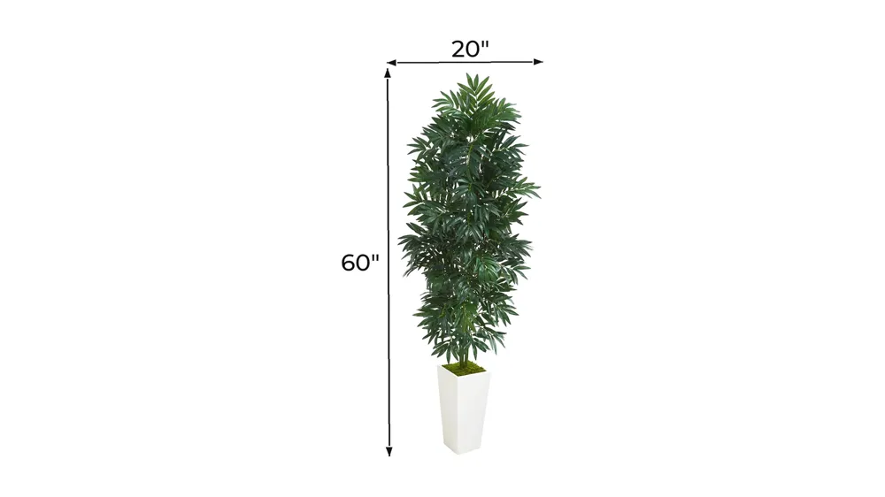 5ft. Bamboo Palm Artificial Plant in White Planter Dimensions